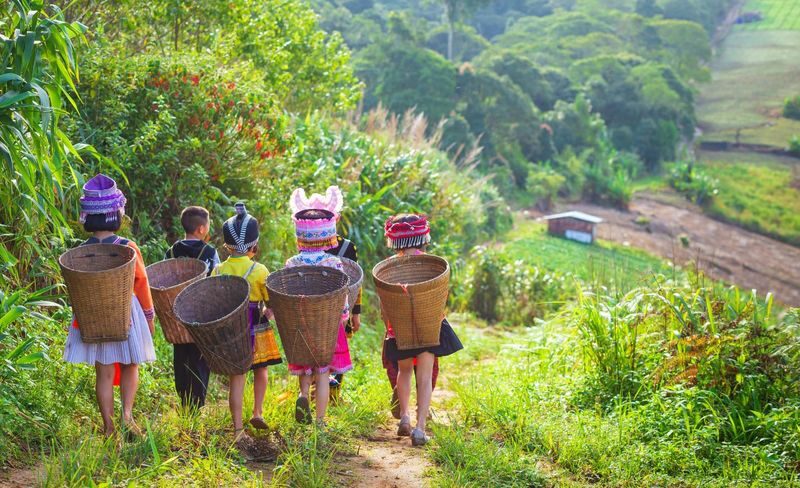 Chiang Mai: Half day Doi Suthep and Meo Village - From Chiang Mai to the mountain