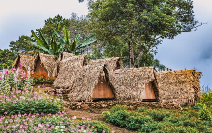 Chiang Mai: Half Day Doi Suthep and Meo Village - Experience the White Meo Hilltribe Village