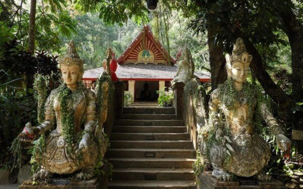Chiang Mai: Half Day Doi Suthep and Meo Village - The Sum Up