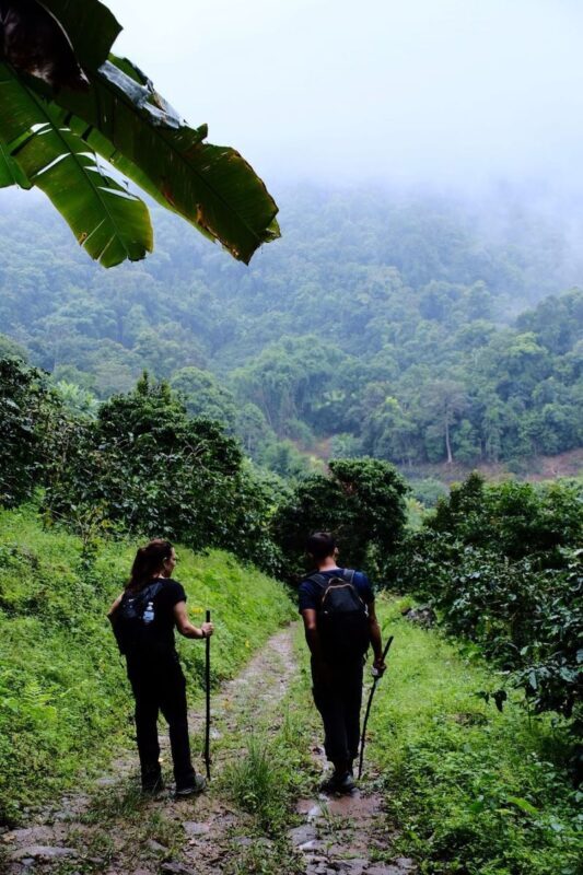 Chiang Mai Half-Day Doi Suthep Hiking Tour - A mountain outing, not just a temple stop