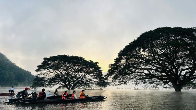 Chiang Mai Half-Day Giant Rain Tree & Sticky Waterfall Tour - The drive and schedule shape the day