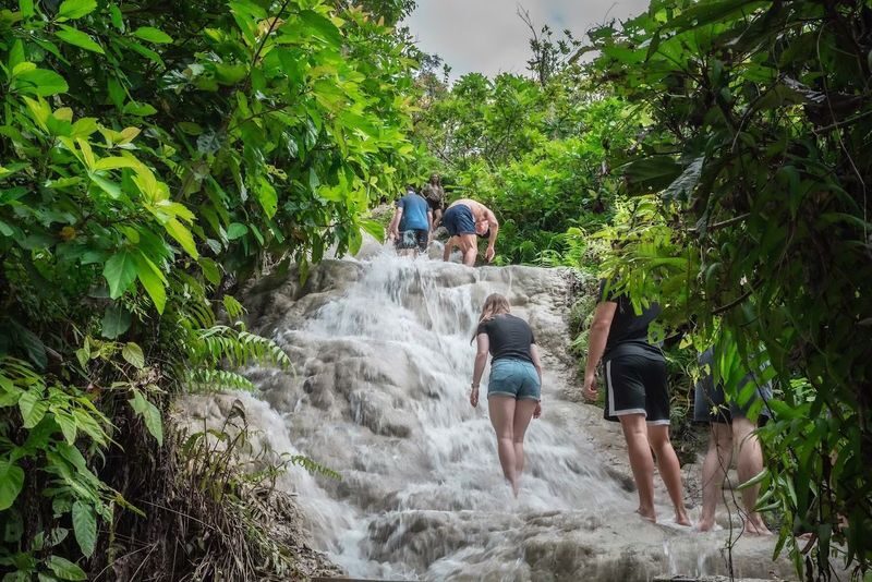 Chiang Mai Half-Day Giant Rain Tree & Sticky Waterfall Tour - What the price buys, and what it does not