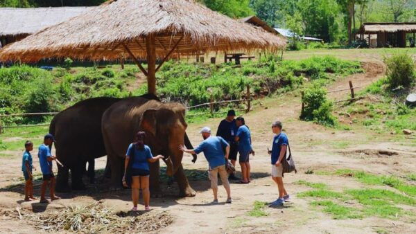Chiang Mai: Half Day Living Green Elephant Sanctuary - Booking and Cancellation Policy