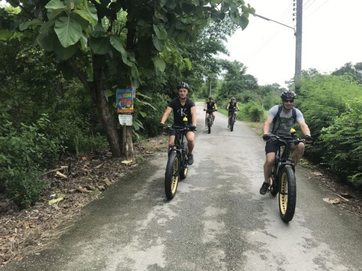 Chiang Mai: Half-Day Ping River E-Bike Adventure - Small Group Experience
