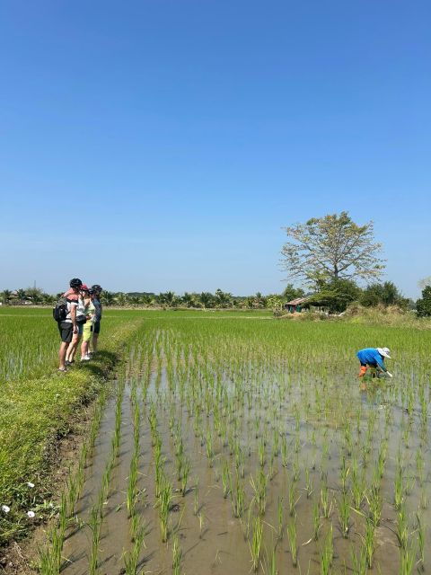 Chiang Mai: Half-Day Private Bicycle Tour With Lunch - Pickup Information