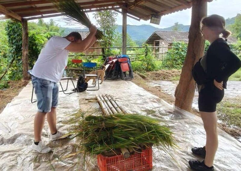 Chiang Mai: Half-Day Rice Farming Experience - What to Expect on the Tour