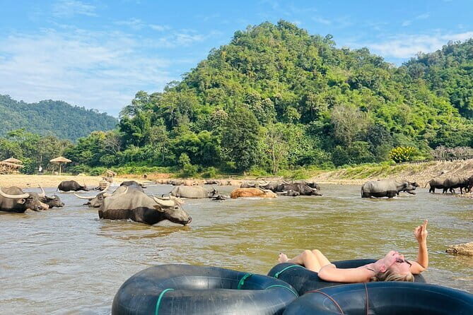 Chiang Mai Half-Day River Tubing & Elephant Observation - What Makes This Tour Stand Out?