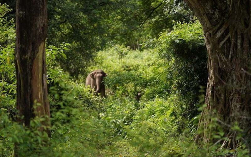 Chiang Mai Half-Day: River Tubing & Waterfall Slide - The Experience in Detail