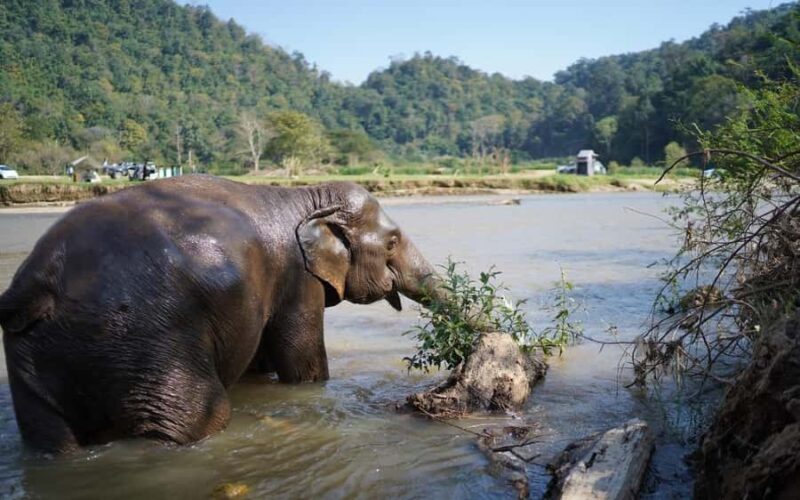 Chiang Mai Half-Day: River Tubing & Waterfall Slide - Practical Details & Tips