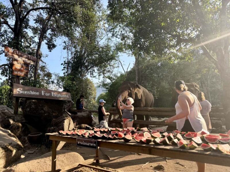 Chiang Mai Half-Day: River Tubing & Waterfall Slide - Who Would Love This Tour?