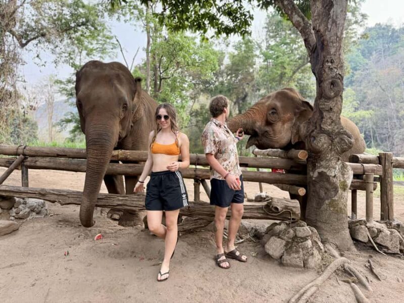 Chiang Mai Half-Day: River Tubing & Waterfall Slide - Who Should Consider This Tour?