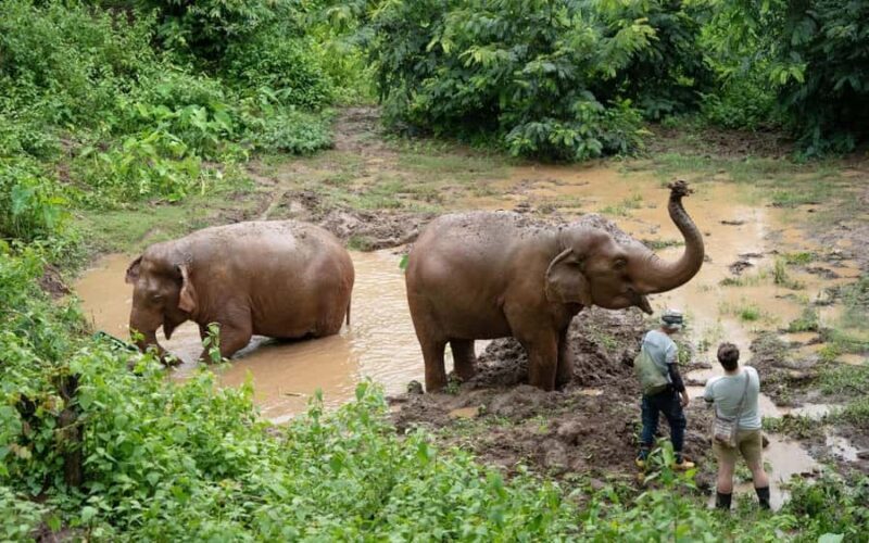 Chiang Mai Half-Day: River Tubing & Waterfall Slide - FAQs