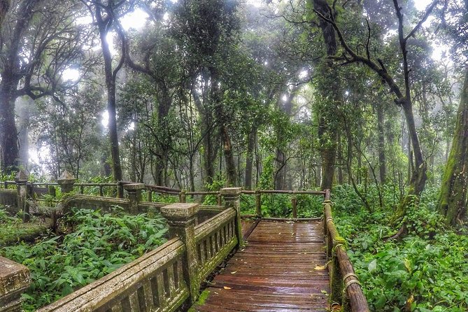 Chiang Mai Half Day Tour Sankampaeng Hot Spring & Handicraft (Minimum 2 Pax) - Common Questions