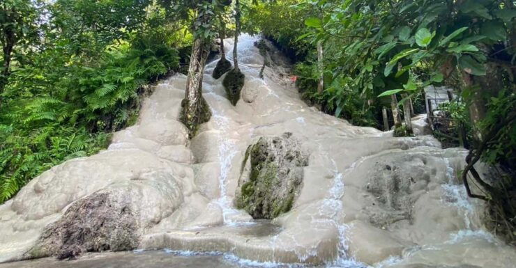 Chiang Mai Half Day Tour: Sticky Waterfall & Hotel Transfer - Experience Highlights