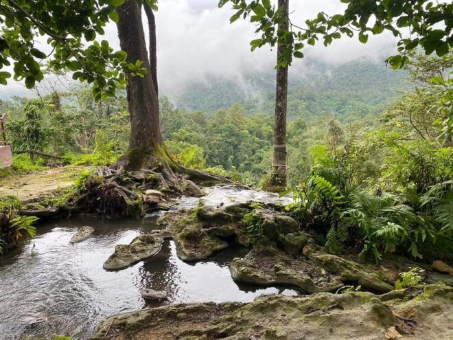 Chiang Mai Half Day Tour: Sticky Waterfall & Hotel Transfer - Transportation and Pickup Details