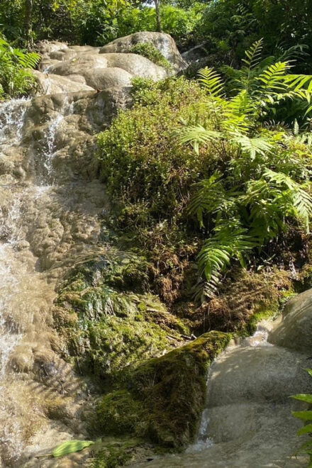 Chiang Mai Half Day Tour: Sticky Waterfall & Hotel Transfer - Important Information
