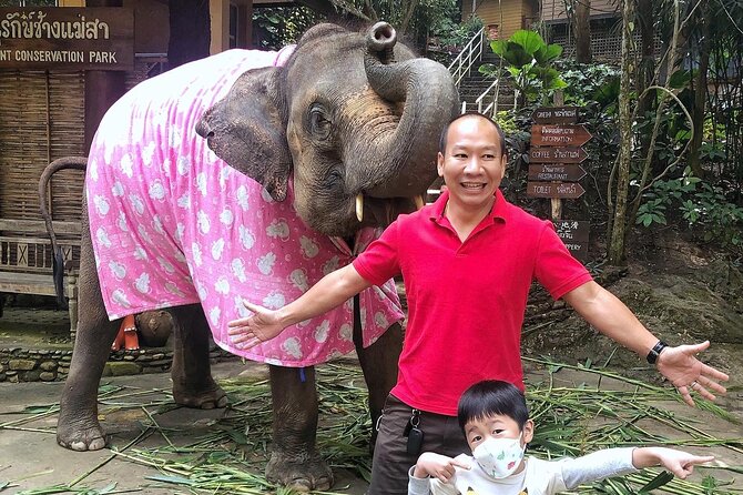 Chiang Mai Half-Day Tour With Private Driver - The Sum Up