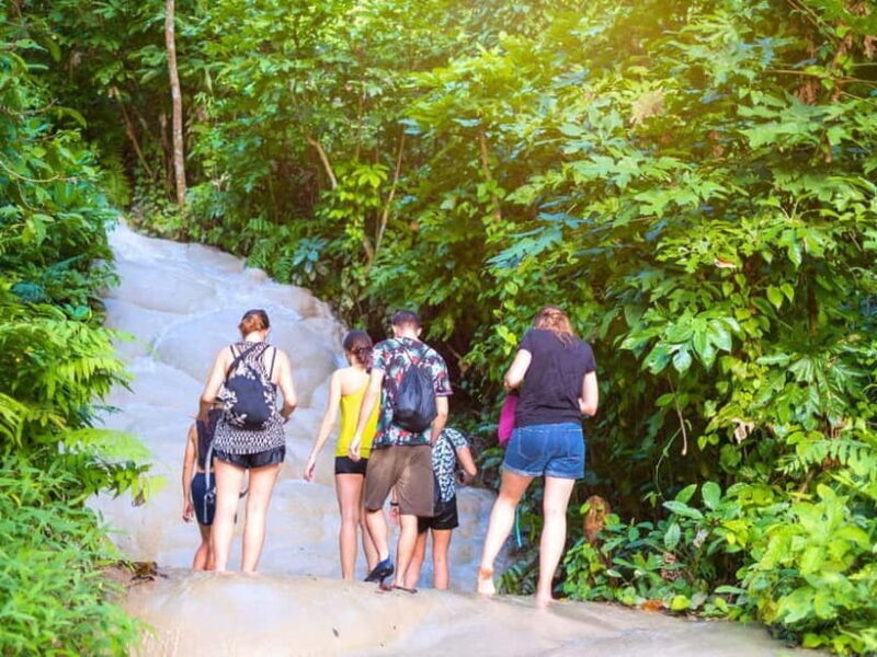 Chiang Mai: Hidden Gem Waterfall and Local Market Tour - An In-Depth Look at the Tour Experience