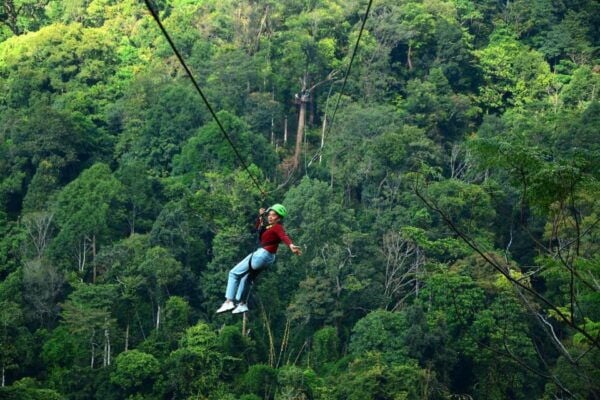 Chiang Mai: Highest and Longest Zipline Trip With Thai Meal - Safety Measures and Trained Guides