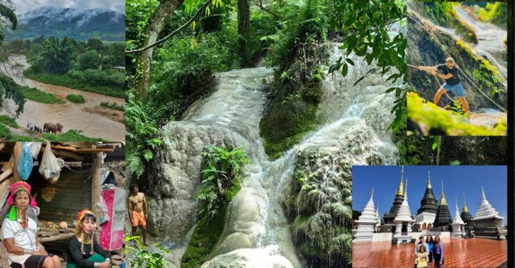 Chiang Mai : Highlight in One Day - Eco-Friendly Elephant Camp Visit