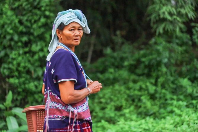 Chiang Mai Hill Tribe and Jungle Hike Private Tour - Tour Highlights