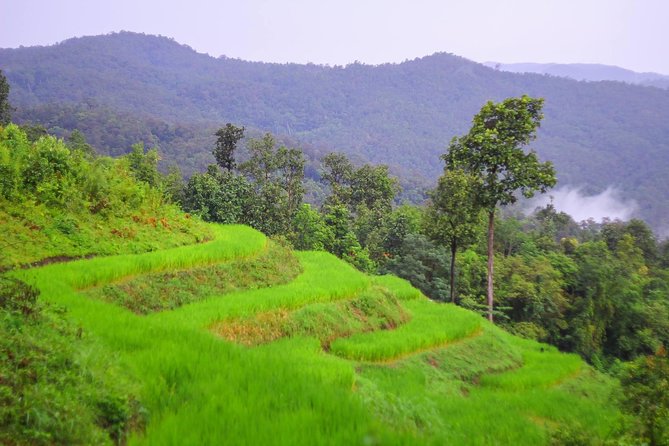 Chiang Mai Hill Tribe and Jungle Hike Private Tour - Pricing and Cancellation Policy