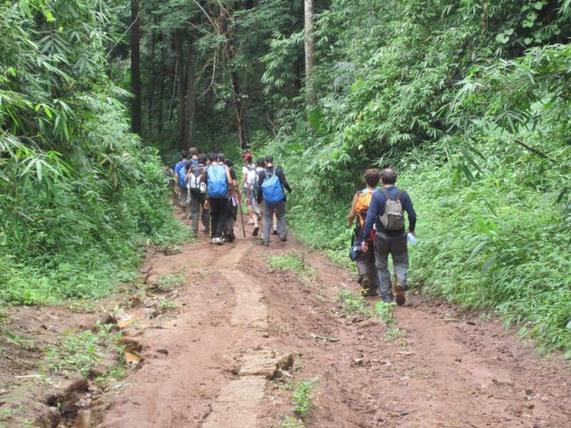 Chiang Mai: Hill Tribes Trek (Palong) with Lunch & Transfers - Final Thoughts