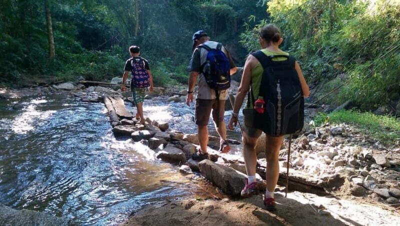 Chiang Mai: Hill Tribes Trek (Palong) with Lunch & Transfers - Good To Know