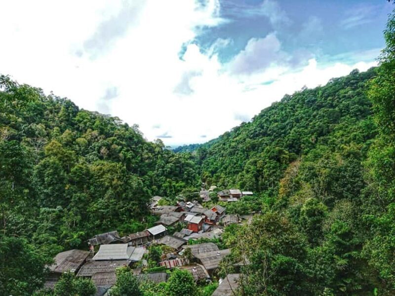 Chiang Mai: Hill Tribes Trek (Palong) with Lunch & Transfers - Detailed Review of the Chiang Mai Hill Tribes Trek