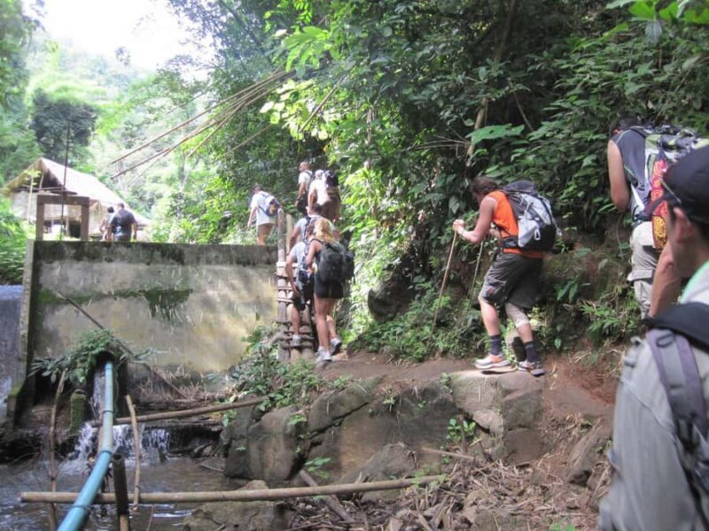 Chiang Mai: Hill Tribes Trek (Palong) with Lunch & Transfers - Final Thoughts