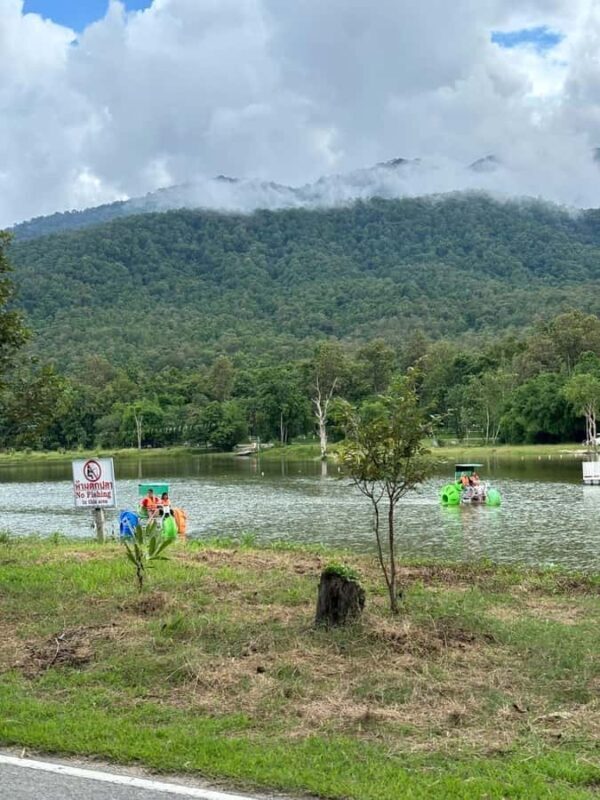 Chiang Mai: Huai Tueng Thao Half Day Tour with Lunch - Who Will Love This Tour?