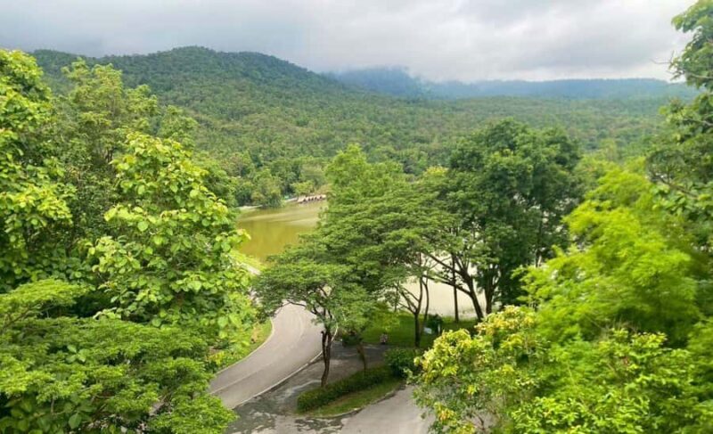 Chiang Mai: Huai Tueng Thao Half Day Tour with Lunch - The Sum Up