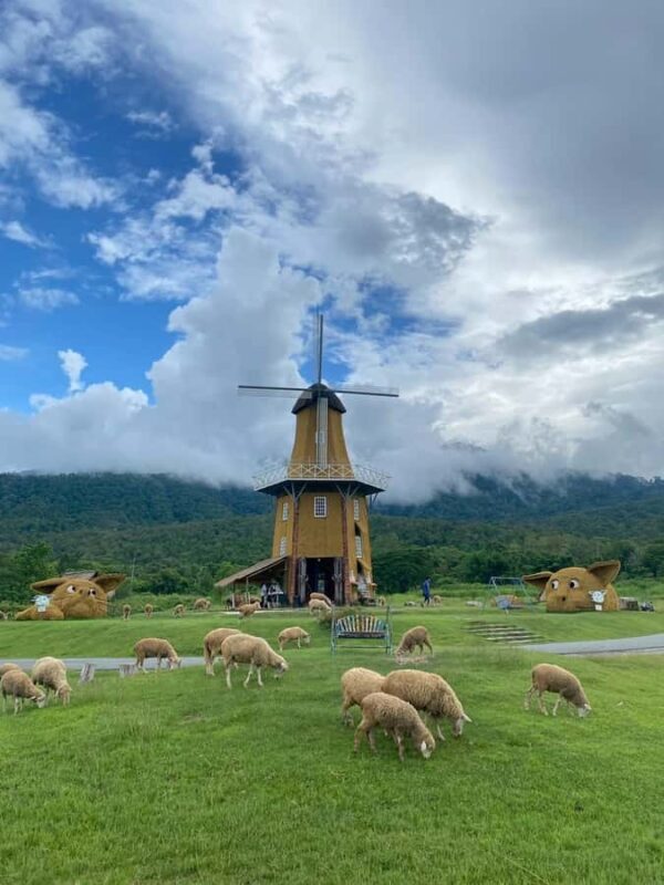 Chiang Mai: Huai Tueng Thao Half Day Tour with Lunch - Good To Know