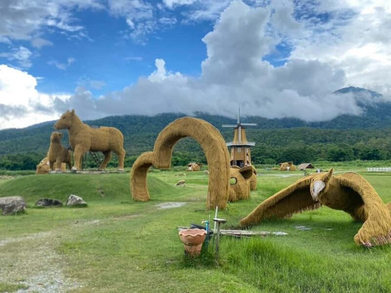 Chiang Mai: Huai Tueng Thao Half Day Tour with Lunch - The Sum Up