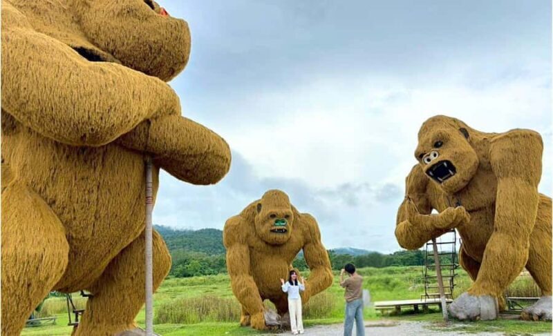 Chiang Mai: Huai Tueng Thao Lake Tour with Lunch & ATV - Final Thoughts: Who Will Love This Tour?