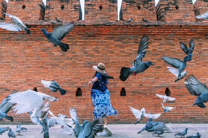 Chiang Mai Instagram Tour: Most Famous Spots (Private and All-Inclusive) - Questions