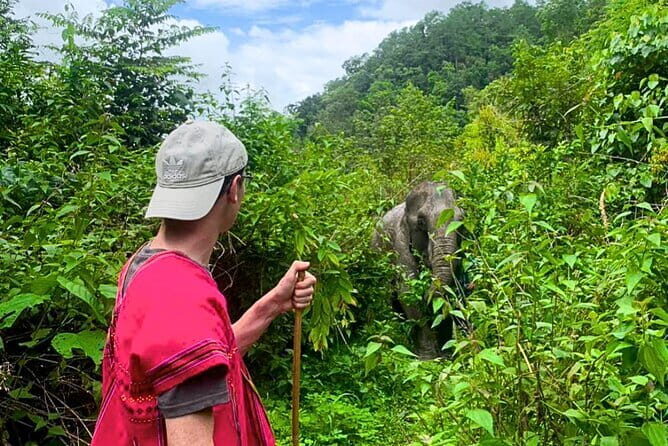 Chiang Mai: Inthanon, Elephant Sanctuary Observation & Waterfall - The Experience in Detail