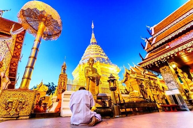 CHIANG MAI: Join Tour Half Day Doi Suthep Meo Village (Doi Pui) - Tour Highlights