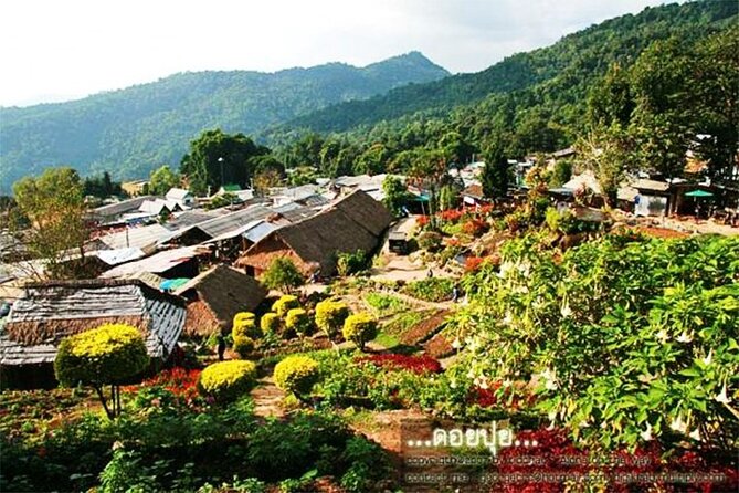 CHIANG MAI: Join Tour Half Day Doi Suthep Meo Village (Doi Pui) - Booking Information