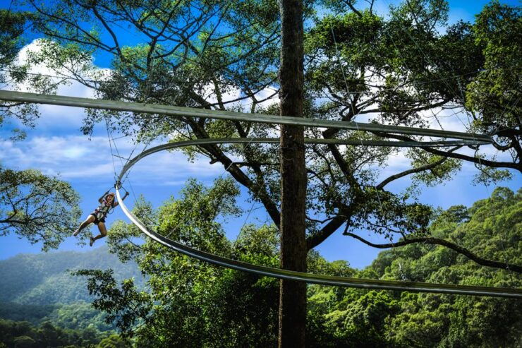 Chiang Mai: Jungle Flight Zip Line Roller Coaster - Experience Highlights