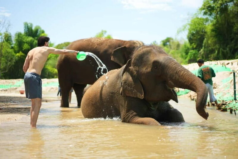 Chiang Mai: Jungle Jumbo Elephant Sanctuary with Waterfall - Good To Know