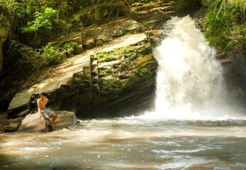 Chiang Mai: Jungle Jumbo Elephant Sanctuary with Waterfall - Final Thoughts