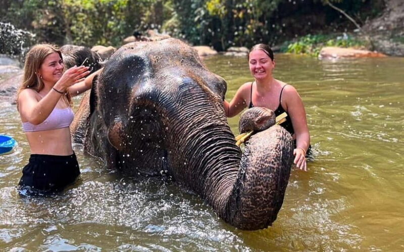 Chiang Mai: Jungle Trek, Elephants care & Bamboo Rafting - What We Love About This Tour