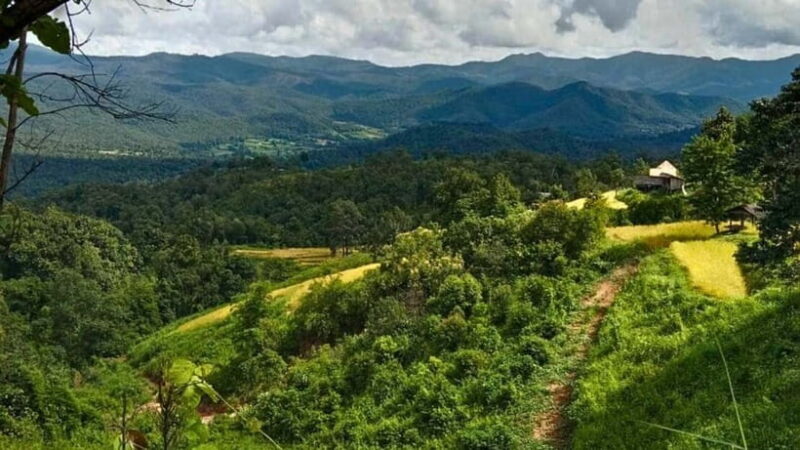 Chiang Mai: Jungle Trek, Elephants care & Bamboo Rafting - The Sum Up