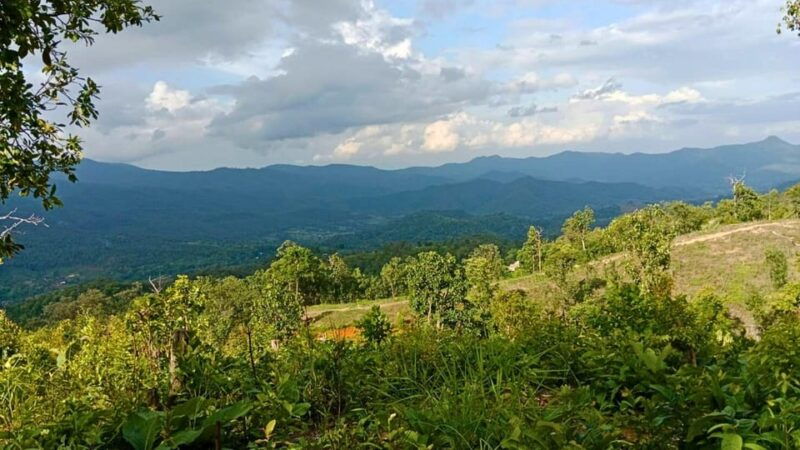 Chiang Mai: Jungle Trek, Hill Tribe & Bamboo Rafting - Good To Know