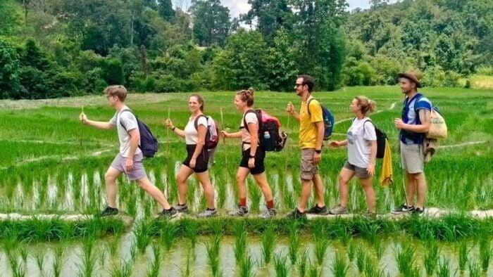 Chiang Mai: Jungle Trek, Hill Tribe & Bamboo Rafting - Important Information and Considerations