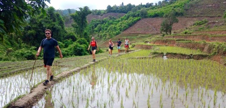 Chiang Mai: Karen Tribe & Dual Waterfalls - Private Day Trek - Tour Duration and Guide Availability