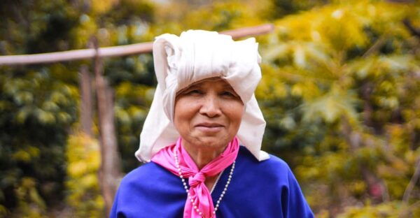 Chiang Mai: Karen Tribe, Elephants, Trekking and Waterfalls - Local Culture and Experiences