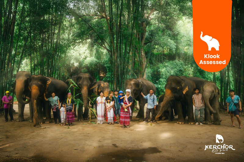 Chiang Mai Kerchor Elephant Eco Park Tour (from Chiang Mai) - What Makes This Tour Worth Considering