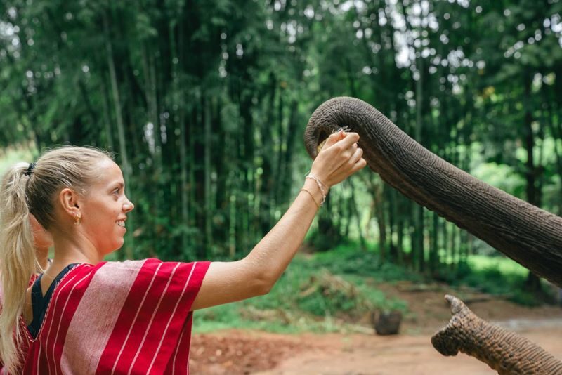 Chiang Mai Kerchor Elephant Eco Park Tour (from Chiang Mai) - A Karen-Run Park With A Different Kind Of Elephant Visit